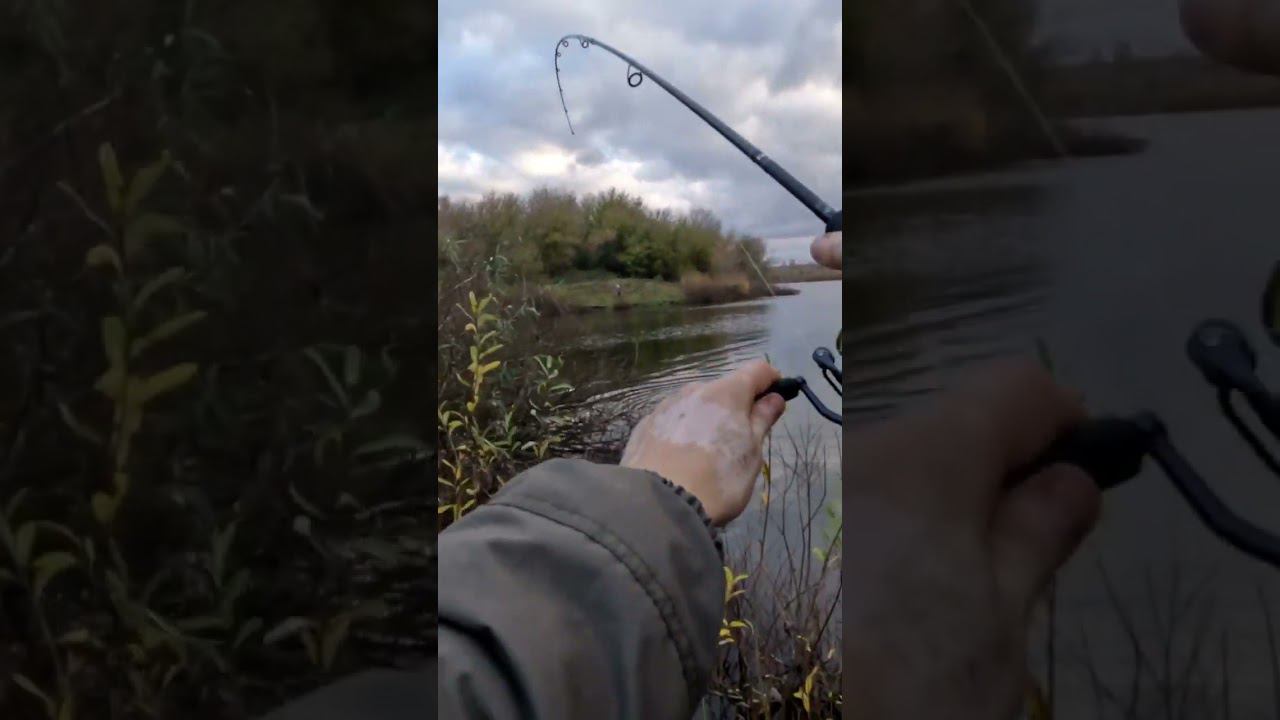 Щука на блесну осенью смотреть онлайн