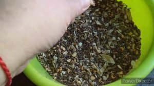 Горох и Гречка для Кур Несушек//Стимулятор Яйценоскости Кур в Осенне Зимний Период