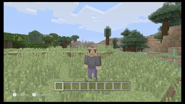 Minecraft WiiU 1st Birthday Skin Pack смотреть онлайн