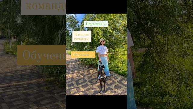 5/30 челендж "30 дней снимаю reels" смотреть онлайн