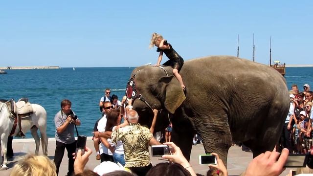 По Севастополю слона водили (ч.5) смотреть онлайн