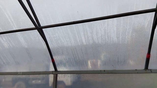 Теплица. Как самому собрать фермерскую теплицу. Часть 1. смотреть онлайн