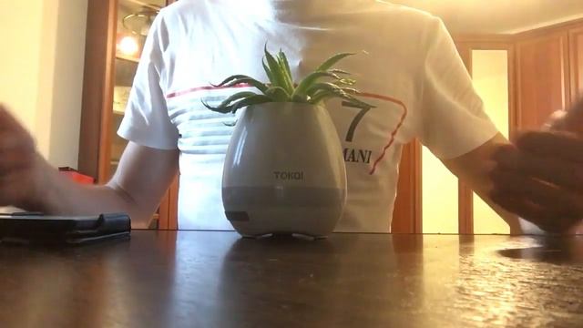 умный музыкальный цветочный горшок смотреть онлайн