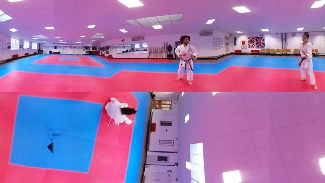 Watch Karate Ippon filmed with Samsung Gear 360 - Shotokan Karate смотреть онлайн