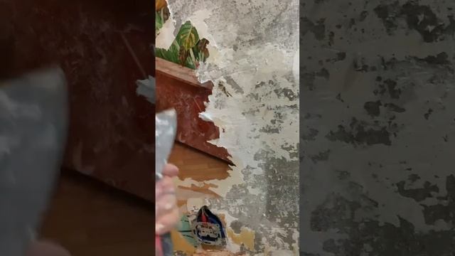 Успеем ли … #ремонт #ремонтсвоимируками #40недельбеременность #пдр2023 смотреть онлайн