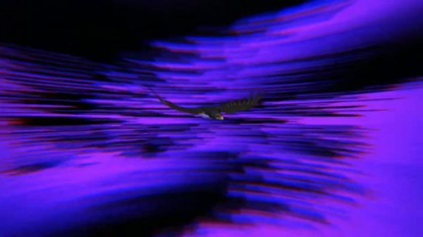 Ночной певец