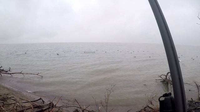 GOLDENEYES From Shore! | Lake Erie Diver Duck Hunting смотреть онлайн