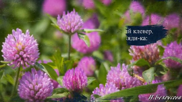 Красное лето смотреть онлайн