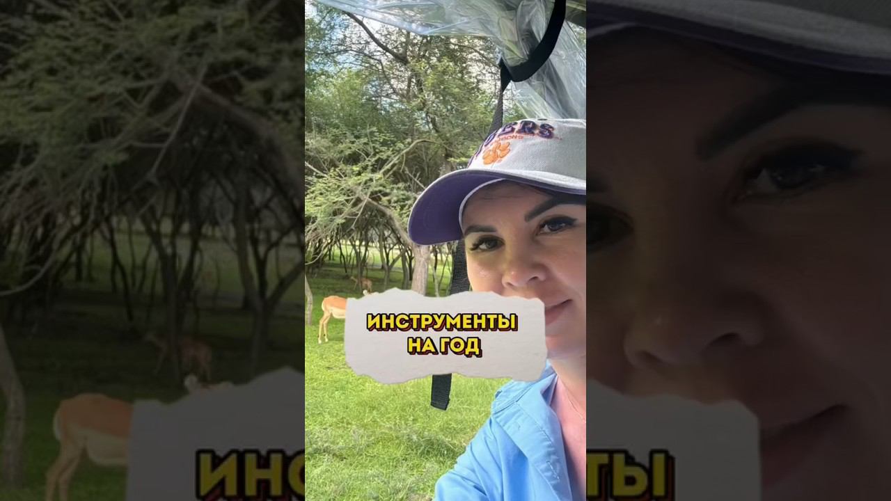 Инструменты убрать неприятности на 2024 год смотреть онлайн