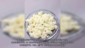 Козий кефир