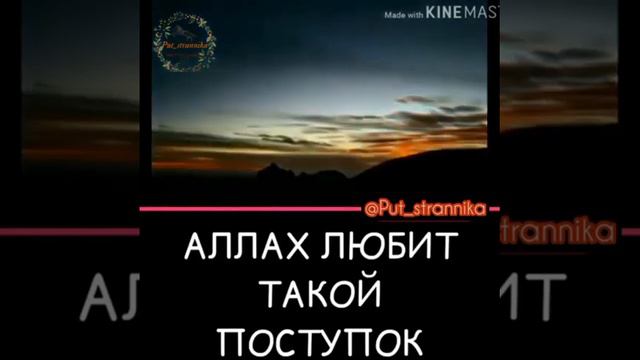 АЛЛАХ любит такой поступок смотреть онлайн