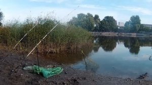 Мертвый донец.Рыбалка на фидерную снасть