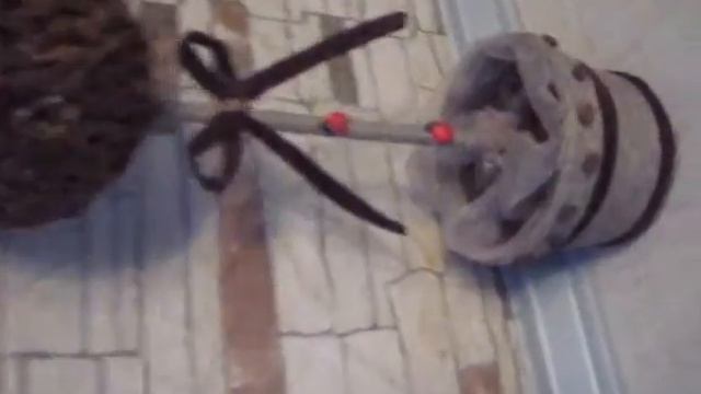 Топиарий (Кофейное дерево) Будет жить на даче смотреть онлайн