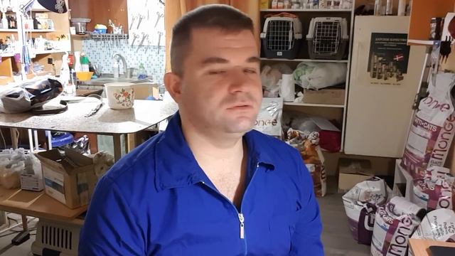 Жестокость природы или естесвенный отбор? смотреть онлайн