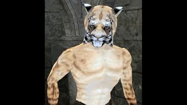 Как менялись Каджиты игры The Elder Scrolls от ARENA до Onlinе смотреть онлайн