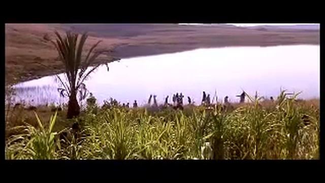 Сыроедение и будущее планеты. смотреть онлайн