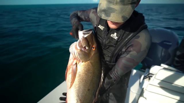 Spearfishing Giant Lobster In The Bahamas! (Catch And Cook)