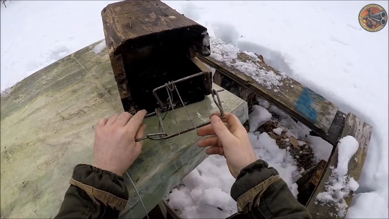 Капкан КП-120 ящичный. Доработка. Охота на куницу капканами (Будни охотника и рыбака) смотреть онлайн