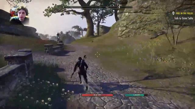 Elder Scrolls Online - Let's Play - Part 234: First Official Crash смотреть онлайн