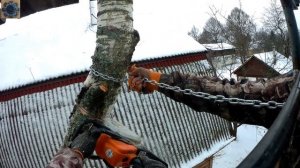 Спил деревьев!Береза 17 метров.Как свалить дерево в труднодоступном месте,не чему не навредив.