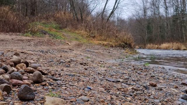 Медитация в лесу, отдых на природе. Птицы, ручей. Звуки природы. Релакс, расслабленность, прилив си смотреть онлайн