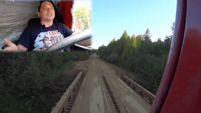 Зачем пилят столько леса смотреть онлайн