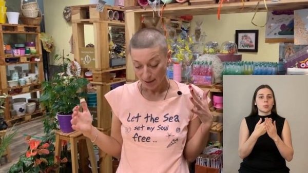 Адромискус { СУРДОПЕРЕВОД } необыкновенный суккулент | Суккуленты бывают разные