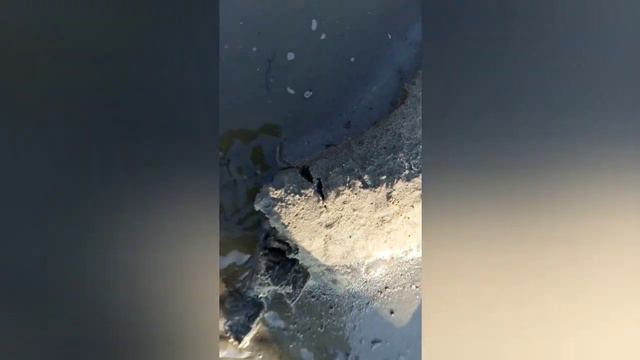 Рыбалка, Ласка и Роман Падушин смотреть онлайн