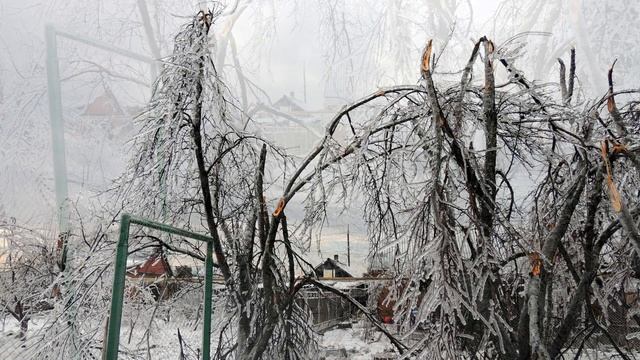 Деревья ломались как спички!  Не дай Бог такому повториться!!!