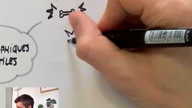 Tuto Sketchnoting : 7 éléments graphiques indispensables ! смотреть онлайн