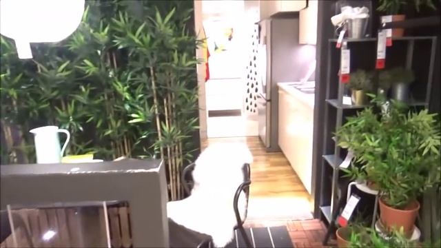 #612 США, За пуховыми подушками - в IKEA! ОБОЖАЮ! смотреть онлайн