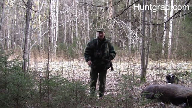 Загонная охота на лося 2018 Drückjagd auf Elchwild смотреть онлайн