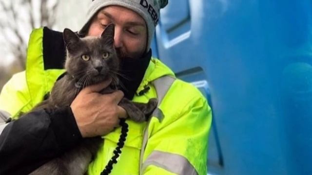 Мужчина обняв пропавшего кота ,расплакался как ребёнок. Он даже не представлял, что сможет его найт смотреть онлайн