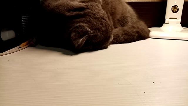 Пишите в комментариях что вы хотите узнать о нас, мы ответим. смотреть онлайн