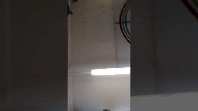Мучеем телефон возя его по полу смотреть онлайн