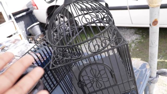 Fun Orchid Hunting Adventure @ FleaMarket - Orange Blossom Trail,  Orlando Florida