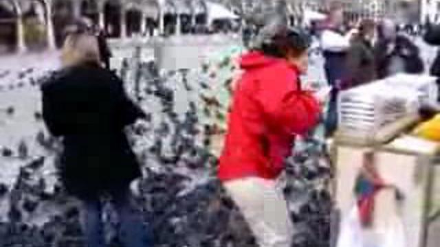 Оборзевшие птицы смотреть онлайн