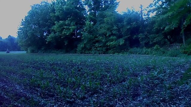 Перше оприскування мототрактором у 2018 смотреть онлайн