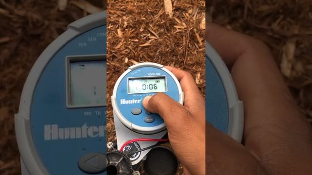 Cómo encender manualmente un hunter node 100 смотреть онлайн