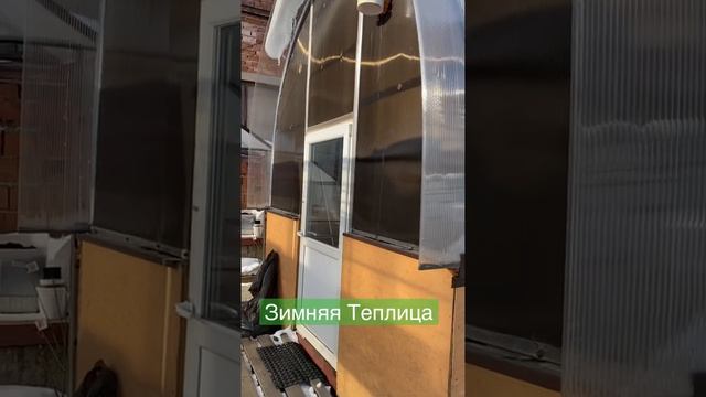 Зимняя Теплица. Начало смотреть онлайн