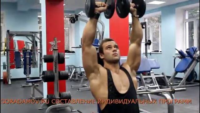 жим сидя с гантелями смотреть онлайн