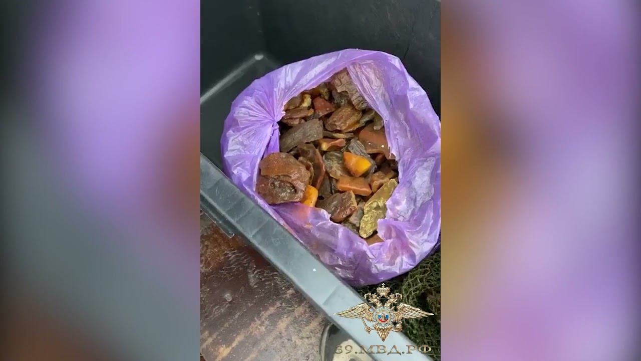 Полицейские изъяли у дайверов в Балтийском море более 10 килограммов незаконно добытого янтаря смотреть онлайн