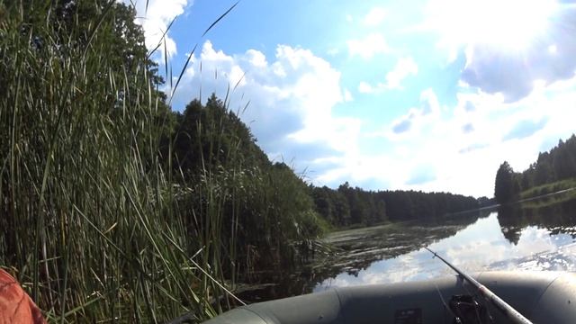 Рыба Боевая