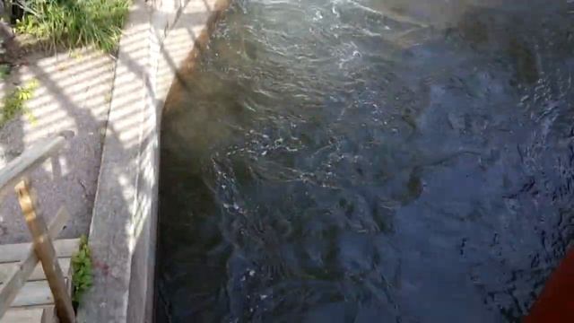 Парк развлечений в Финляндии Хельсинки. смотреть онлайн