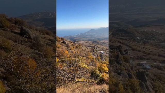 Скумпия на Демерджи на закате. смотреть онлайн