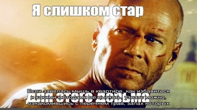 Как справиться с мышами в квартире