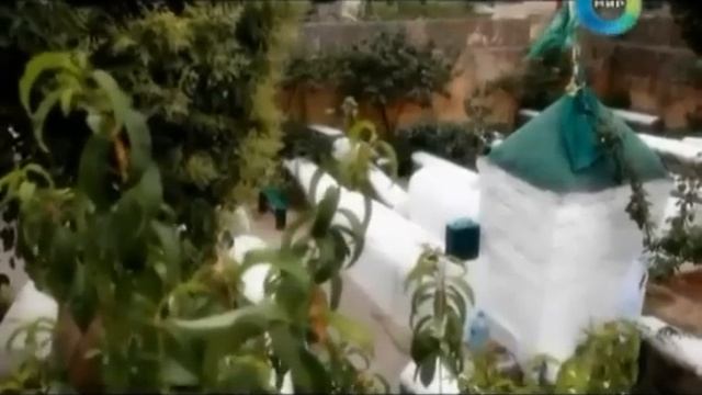 Дербентские азербайджанцы. смотреть онлайн