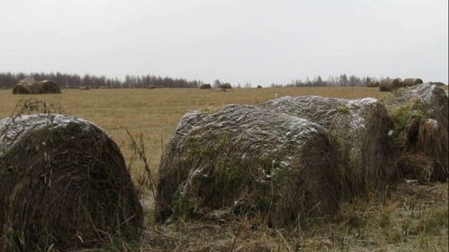 ? КАК ДОБЫТЬ ТЕТЕРЕВА? НУЖНО ТЕРПЕНИЕ! смотреть онлайн
