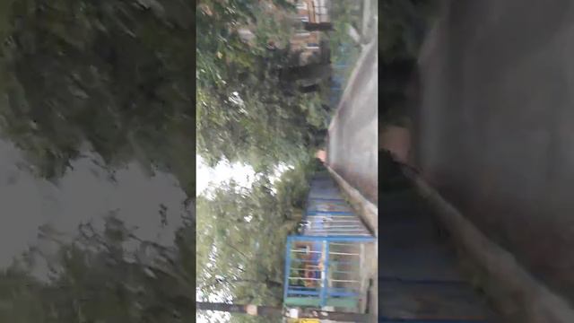 Я и Somik tv смотреть онлайн