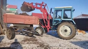 Работа на двух тракторах, вывоз навоза на МТЗ в огород.